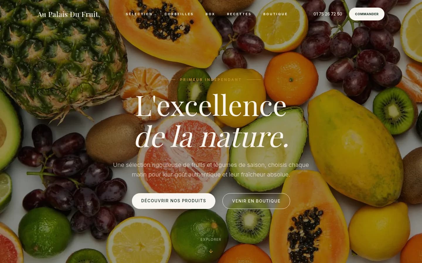 Apercu du projet Au Palais du Fruit